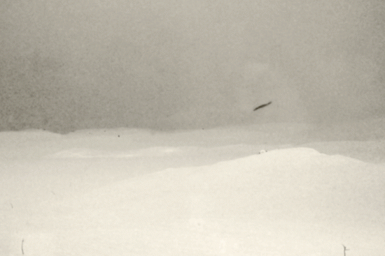 White Lonescapes (5)