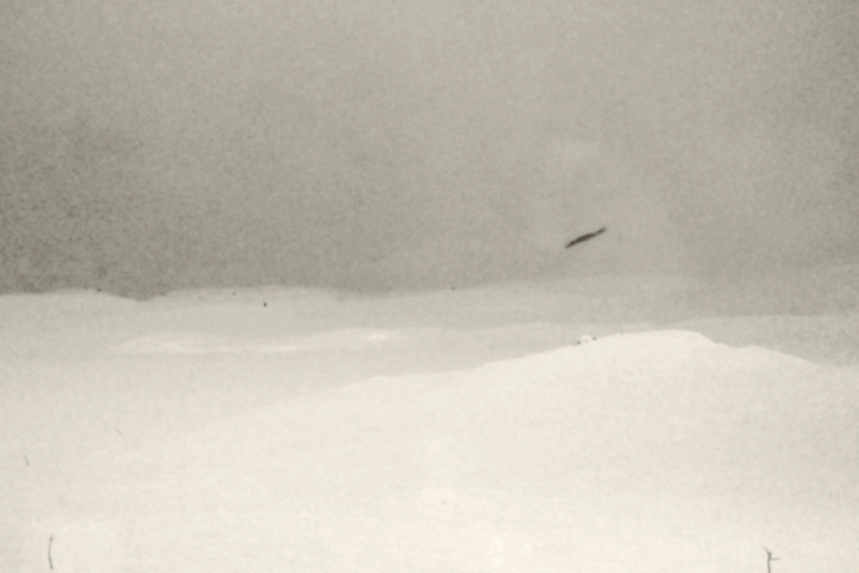 White Lonescapes (5)