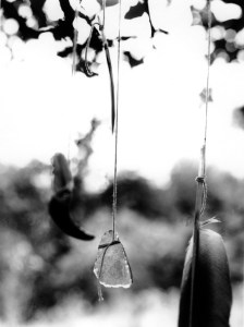 Windchimes014