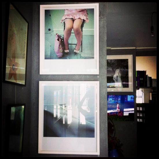 Photo: Lara,Maybe a Vole