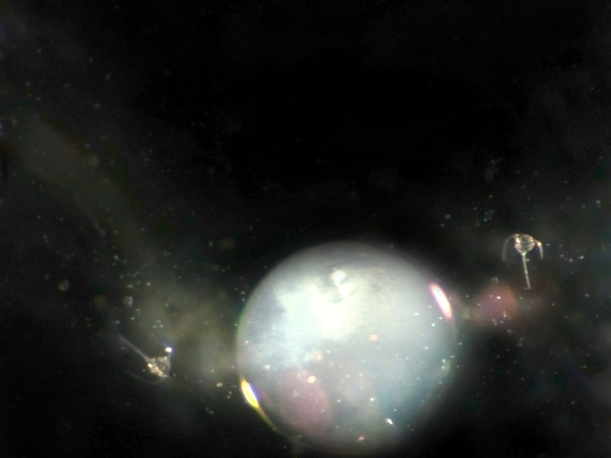 Space below-finally on&nbsp;tour!